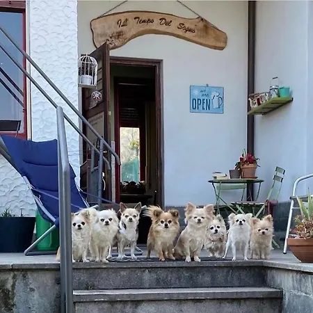B&B Il tempo del sogno Pet&Breakfast-2